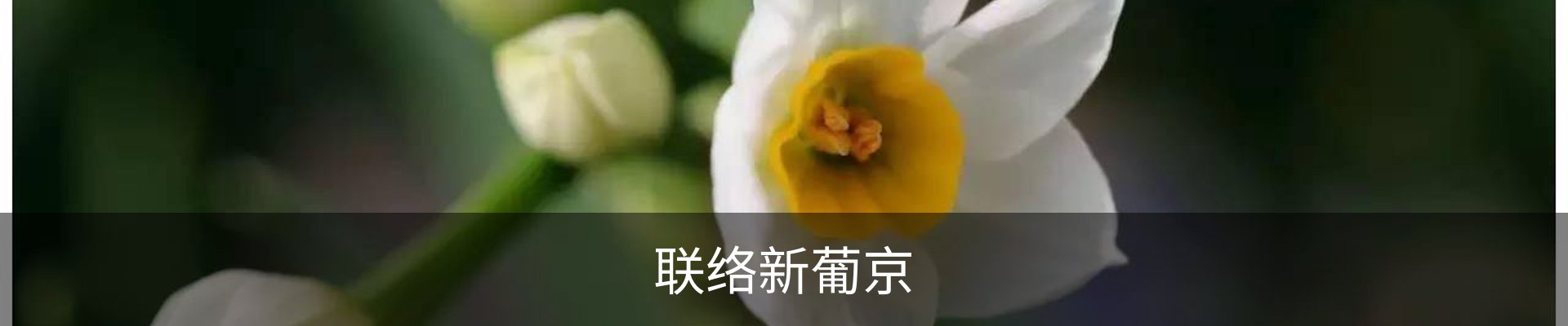联络新葡京